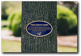 Outdoor tree plaques